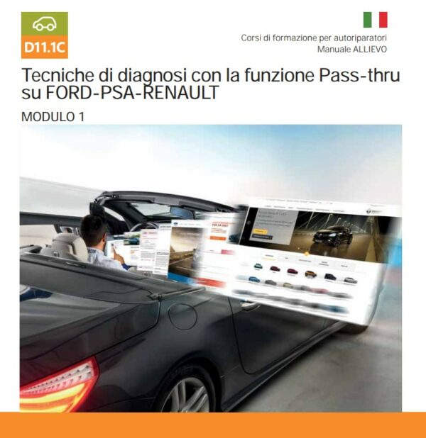 Tecniche di diagnosi con funzione PASS-THRU SU CITROEN-PEUGEOT TEXA